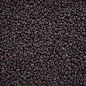 Harvestime Blackcurrants 1Kg Gallery Image | Frozberries Sydney