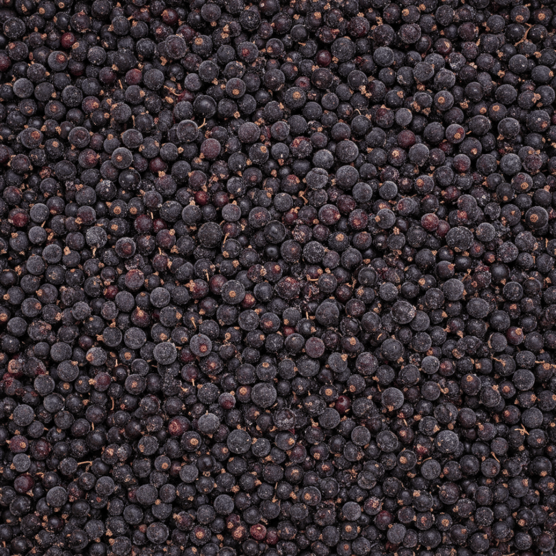 Harvestime Blackcurrants 1Kg Gallery Image | Frozberries Sydney