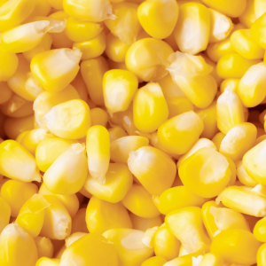 Country Corn Sweet Corn Kernels 1kg Gallery Image | Frozberries Sydney