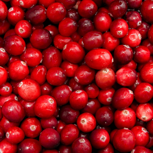 Harvestime Cranberries 1Kg Gallery Image | Frozberries Sydney