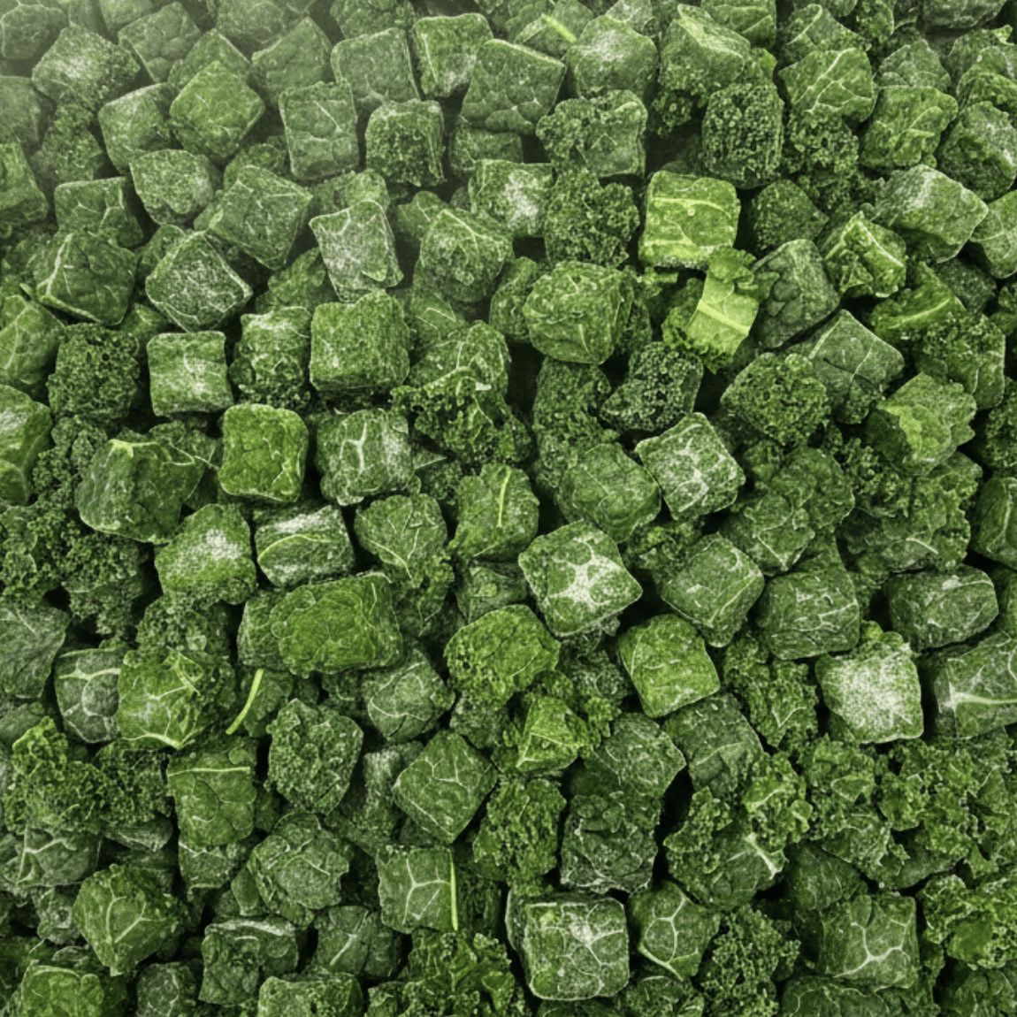 Elgin Organic Kale 600g Gallery Image | Frozberries Sydney