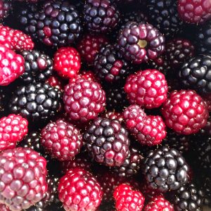 Harvestime Boysenberries 1Kg Gallery Image | Frozberries Sydney