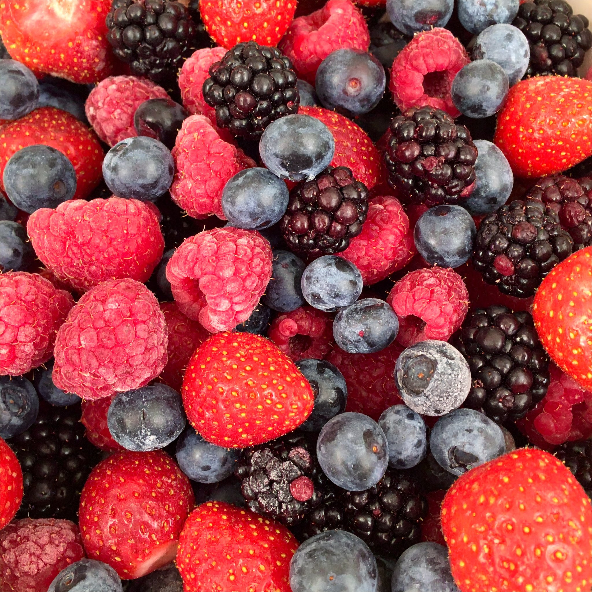 Harvestime 4 Berry Mix 1Kg Gallery Image | Frozberries Sydney