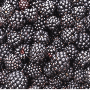 Harvestime Australian Blackberries Bundle 3 x 1kg @ $11.50/kg Gallery Image | Frozberries Sydney