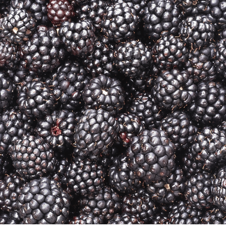 Harvestime Australian Blackberries Bundle 3 x 1kg @ $11.50/kg Gallery Image | Frozberries Sydney