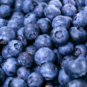 Elgin Organic Wild Blueberries Bulk 12 x 350g @ $11/packet Gallery Image | Frozberries Sydney