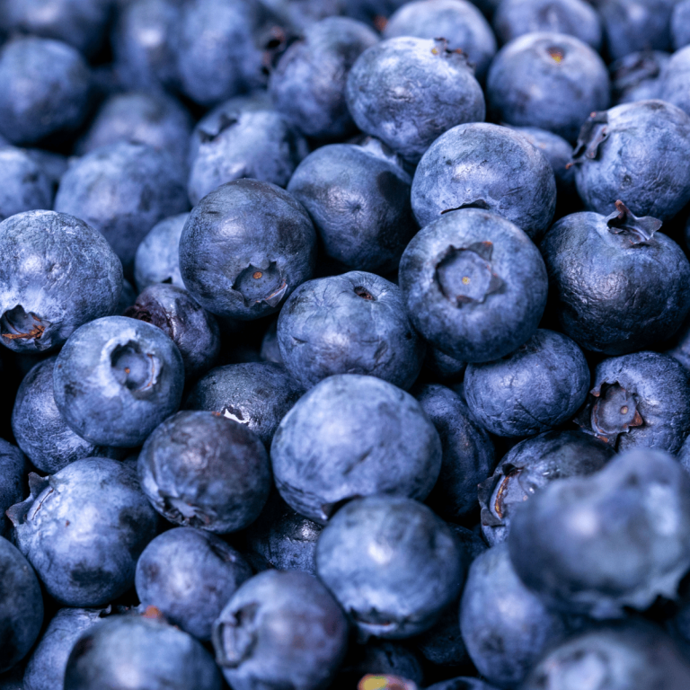 Elgin Organic Wild Blueberries Bulk 12 x 350g @ $11/packet Gallery Image | Frozberries Sydney