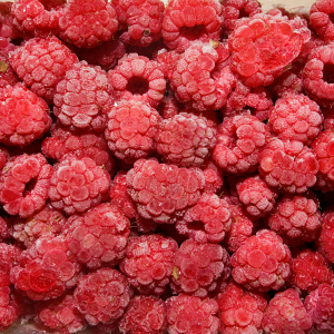 Elgin Organic Raspberries Bulk 10 x 1kg @ $24.90/kg Gallery Image | Frozberries Sydney