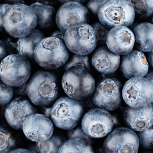 Elgin Organic Wild Blueberries Bundle 3 x 1kg @ $29/kg Gallery Image | Frozberries Sydney