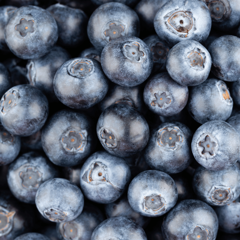 Elgin Organic Wild Blueberries Bundle 3 x 1kg @ $29/kg Gallery Image | Frozberries Sydney