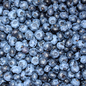 Harvestime Australian Blueberries 1kg Gallery Image | Frozberries Sydney