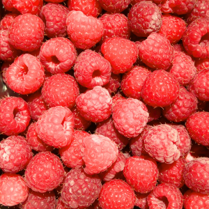 Harvestime Raspberries 1Kg Gallery Image | Frozberries Sydney