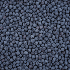 Harvestime Wild Blueberries 500g Gallery Image | Frozberries Sydney