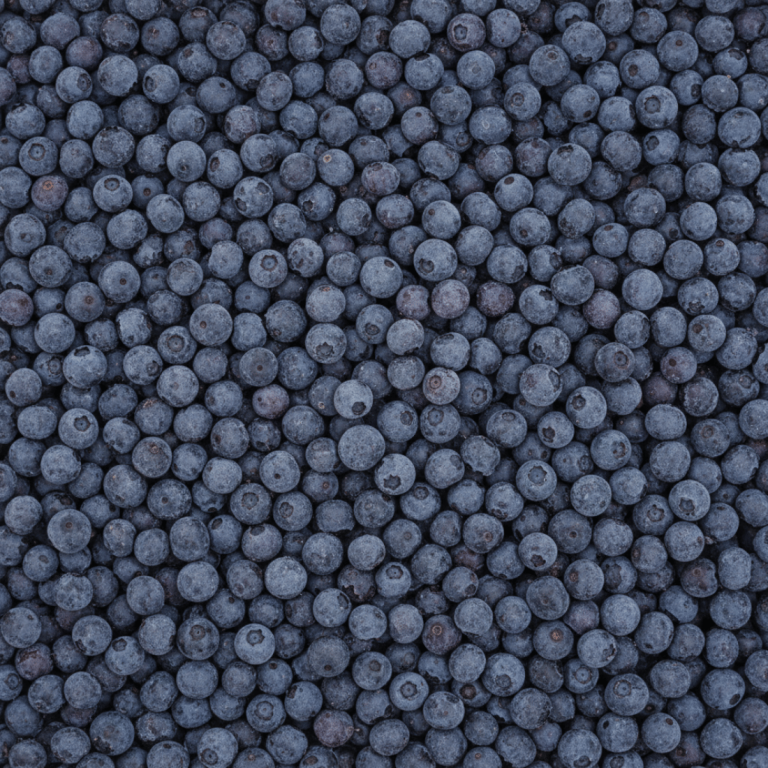 Harvestime Wild Blueberries 500g Gallery Image | Frozberries Sydney