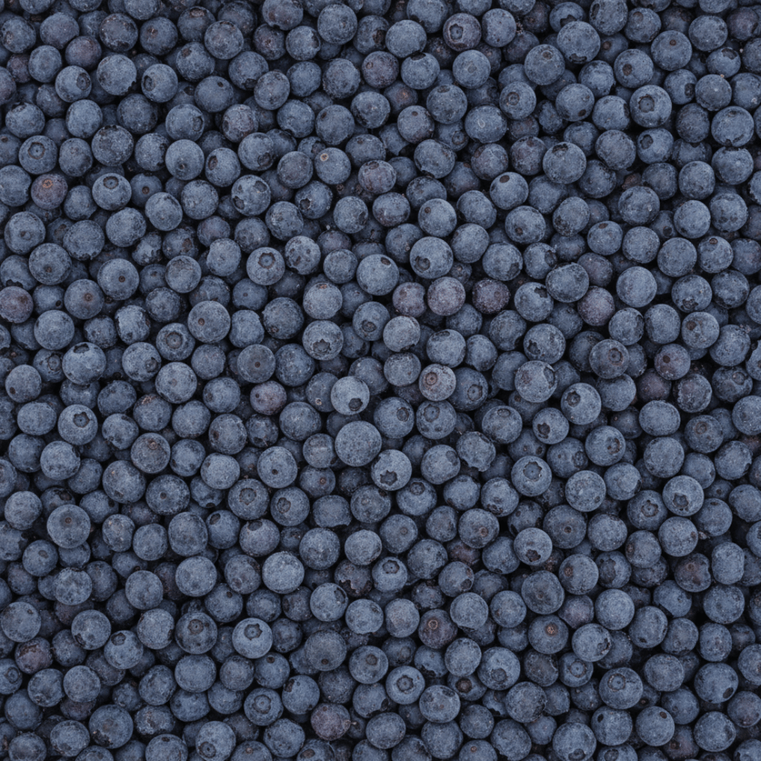 Harvestime Wild Blueberries 500g Gallery Image | Frozberries Sydney