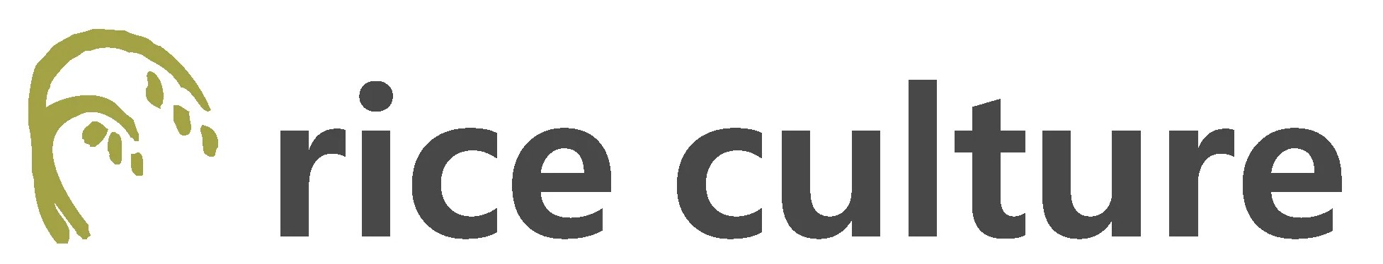 Rice Culture
