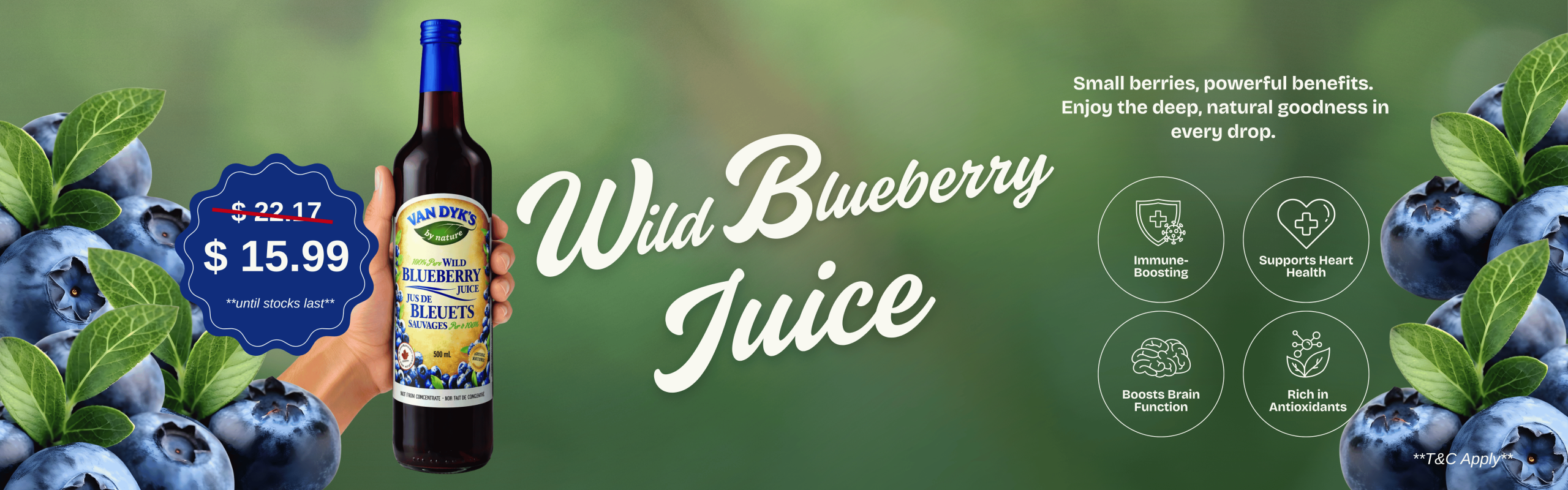 Wild Blueberry Juice 500ml Promo Banner